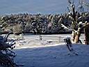 Wiese Winter 2003.jpg
